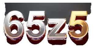 65z5 logo